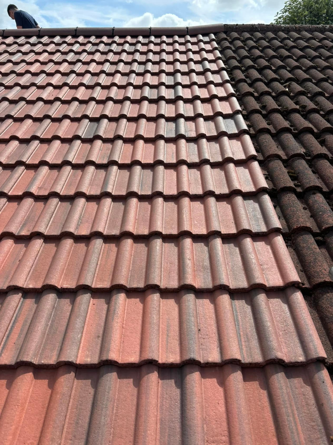 Freshly laid roof tiles next to the old moss-covered original tiles on the same roof